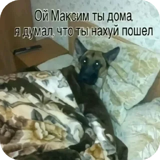 🖼 emoji Хайп Telegram sticker 11 of 75