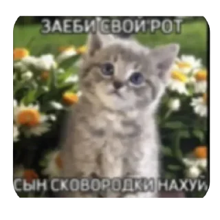 🥰 emoji Семяизвержение Telegram sticker 18 of 36