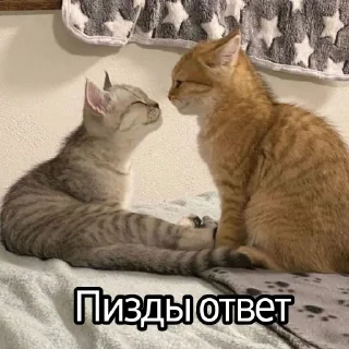 😈 emoji Ответки-приветки Telegram sticker 5 of 9