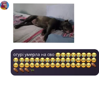 😭 emoji ПОХУДЕТЬ. Telegram sticker 19 of 101