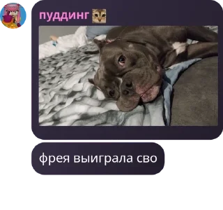 🏋 emoji ПОХУДЕТЬ. Telegram sticker 17 of 101
