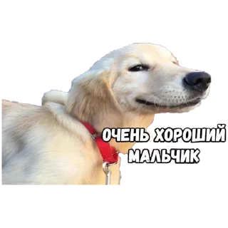 🙂 emoji Больше стикеров в @stikerfox Telegram sticker 13 of 65