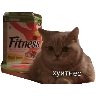 ⚽️ emoji Больше стикеров в @stikerfox Telegram sticker 23 of 65