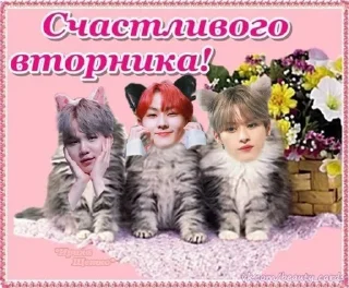 Sticker from к поп мемы