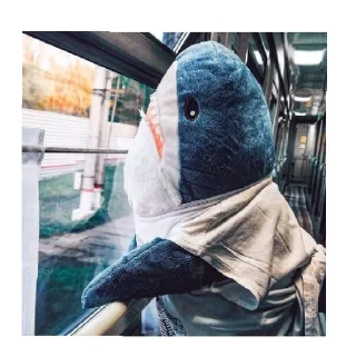 Sticker from shark