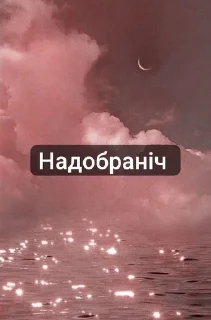 🌟 emoji Masha Kavbasha @MashaKavbasha Telegram sticker 3 of 72