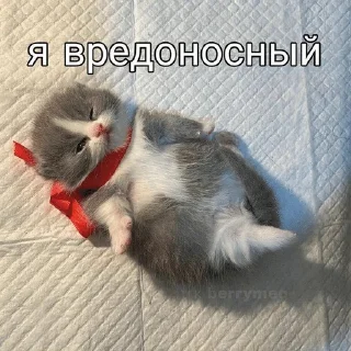 😇 emoji гномья жизнь Telegram sticker 11 of 65
