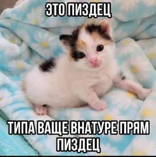 😆 emoji Пак создан в @moyi_stikery_bot Telegram sticker 8 of 28