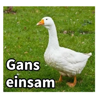 🦆 emoji Gans Telegram sticker 8 of 120