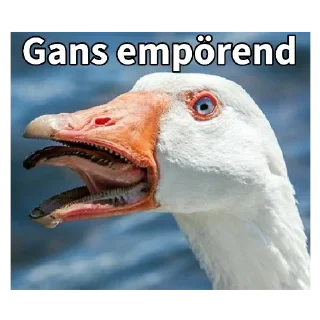 🦆 emoji Gans Telegram sticker 9 of 120