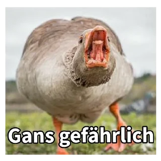 🦆 emoji Gans Telegram sticker 22 of 120
