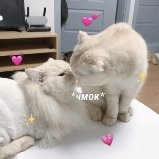 💋 emoji milll Telegram sticker 15 of 16