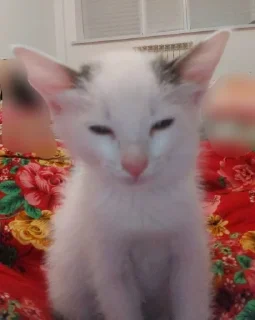 😑 emoji боссы Telegram sticker 10 of 26