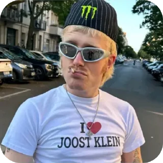 😎 emoji Joost🌹💋 Telegram sticker 13 of 16