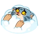 😵 emoji Snow Manul Telegram sticker 16 of 20