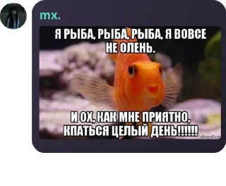 👩‍💻 emoji Чонгуки Узумаки🥀 pack by @QuotLyBot Telegram sticker 22 of 28