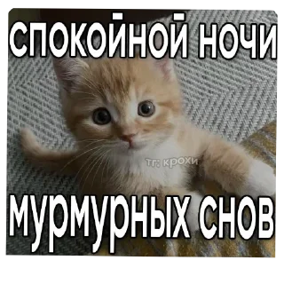 🐱 emoji Стикеры от Криса :3 Telegram sticker 13 of 119