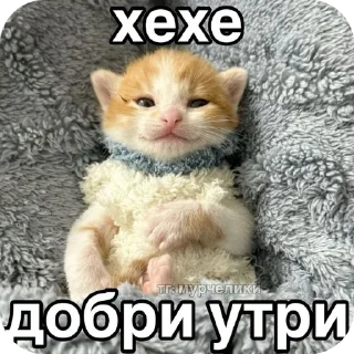 🐱 emoji Стикеры от Криса :3 Telegram sticker 11 of 119