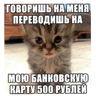 🐱 emoji Стикеры от Криса :3 Telegram sticker 10 of 119