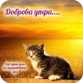🐱 emoji Стикеры от Криса :3 Telegram sticker 16 of 119
