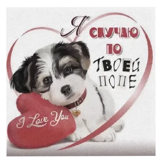 🐶 emoji 🎀 Telegram sticker 13 of 120