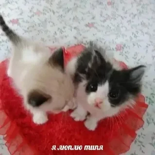 ❤️ emoji на все случаи жизни)) Telegram sticker 18 of 120