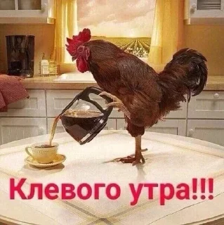 🐓 emoji УТРА/заказать @yleystickers. Telegram sticker 23 of 85