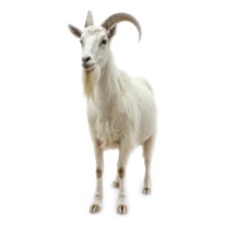 📯 emoji Мемчики Telegram sticker 14 of 71