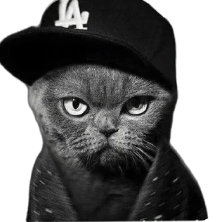 😡 emoji Мемчики Telegram sticker 12 of 71