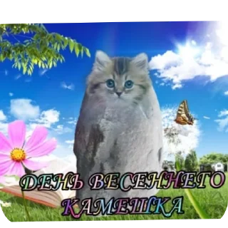 🐱 emoji Мемчики Telegram sticker 10 of 71