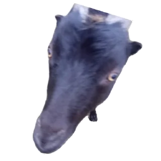 🐐 emoji Мемчики Telegram sticker 3 of 71