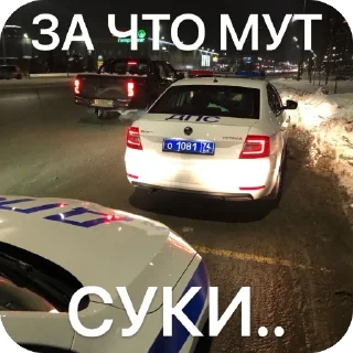 🫥 emoji SKODA AIRLINES Telegram sticker 13 of 27