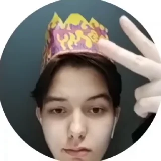🫅 emoji симпл в видео Telegram sticker 14 of 18