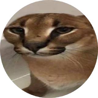 😐 emoji Fake Circle | @plagn Telegram sticker 5 of 19