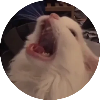 😱 emoji Fake Circle | @plagn Telegram sticker 14 of 19
