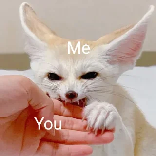 😸 emoji Foxes Telegram sticker 24 of 33