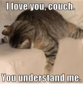 🙈 emoji Funny Animals Telegram sticker 19 of 120