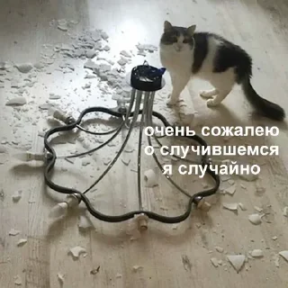 🗡 emoji Путешествия ДАРКА по Хуе Telegram sticker 11 of 120