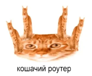 😸 emoji Больше стиков тут: @stikery4 Telegram sticker 5 of 42