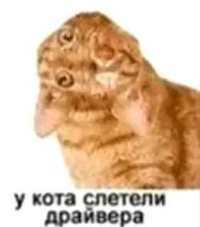 🙃 emoji Больше стиков тут: @stikery4 Telegram sticker 19 of 42