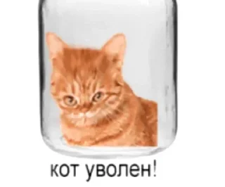 😌 emoji Больше стиков тут: @stikery4 Telegram sticker 2 of 42