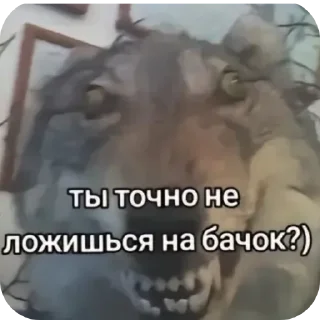 👄 emoji Алана Telegram sticker 6 of 13