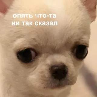 😓 emoji Аф спешл Telegram sticker 17 of 41