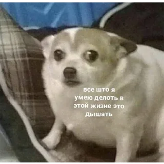 🫣 emoji Аф спешл Telegram sticker 3 of 41