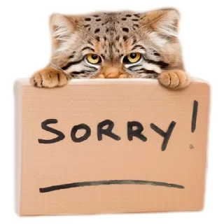 😇 emoji Everyday Manul @animalplantspb Telegram sticker 5 of 35