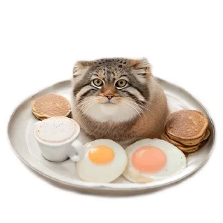 🍳 emoji Everyday Manul @animalplantspb Telegram sticker 23 of 35