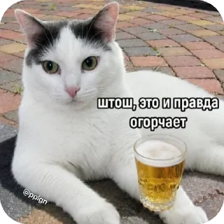 👎 emoji @pplgn #1 stickers Telegram sticker 7 of 67