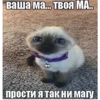 Sticker from я ебу ваших мам