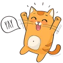 🐱 emoji Kitten @stickersb2b Telegram sticker 5 of 20