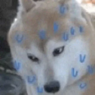 Sticker from отключите сане интернет